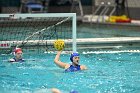 WWPolo vs CC  Wheaton College Women’s Water Polo compete in their sports inaugural match vs Connecticut College. - Photo By: KEITH NORDSTROM : Wheaton, water polo, inaugural